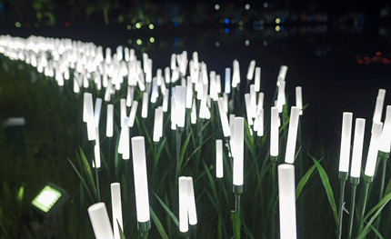 成都世警會正火熱開展，華體用夜景照明這樣添彩世警會