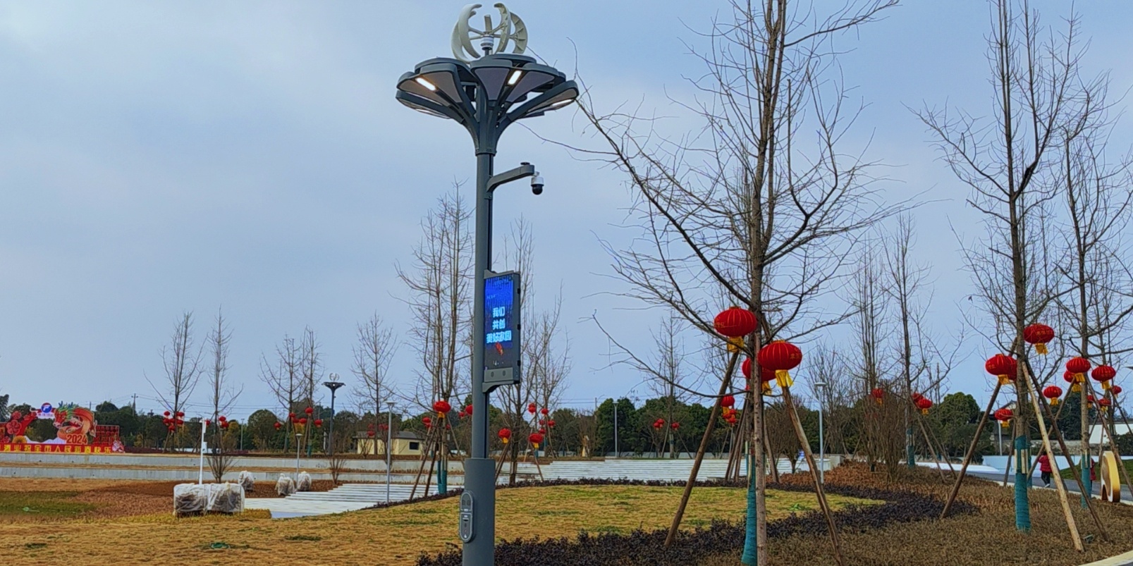 快來圍觀，種在綿竹市城北濕地公園的“智慧樹”亮燈啦